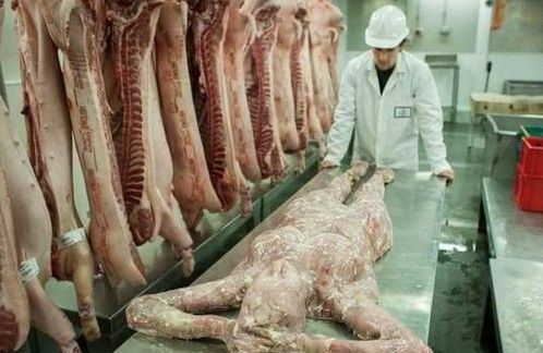 屠宰场没有屠宰证怎么处罚？期货屠老师