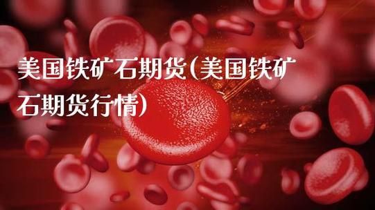 国外有铁矿石期货吗？铁矿国外期货