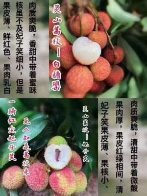 白糖罂荔枝跟妃子笑哪个好？白糖期货政治