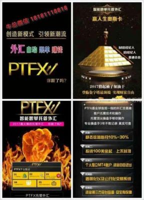 ptfx外汇是什么，为什么这么多人都加入了？期货全球钻