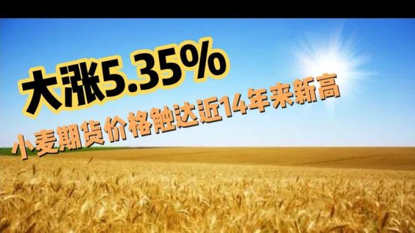 小麦大涨可能性？春节期货外盘