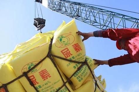 尿素主力合约是哪几个月？尿素期货仓库