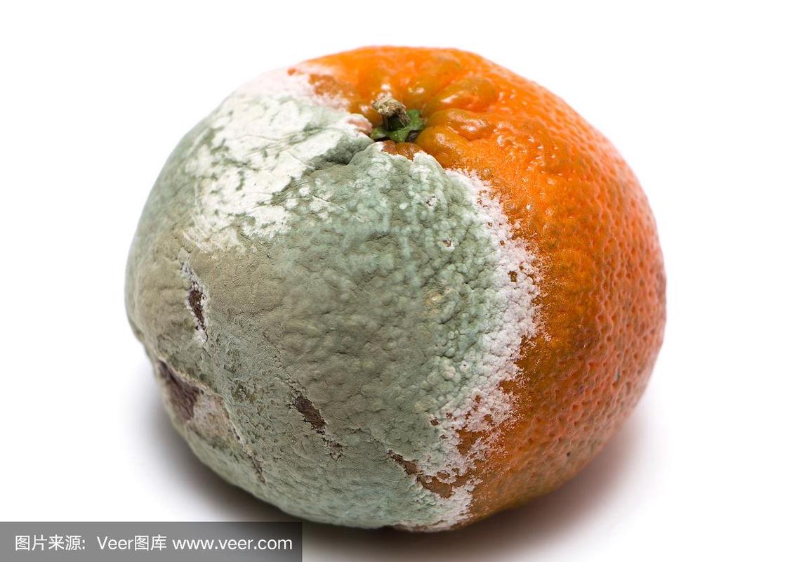 主角姓李的都市重生小说？橙子有期货吗