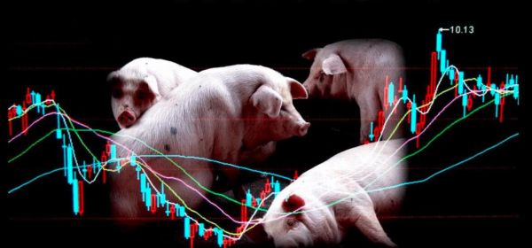外盘瘦肉猪加权和国内生猪期货有关联吗？肉类期货交易