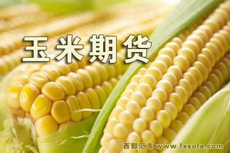 玉米是不是期货中风险最小的品种，我想从？玉米是期货吗