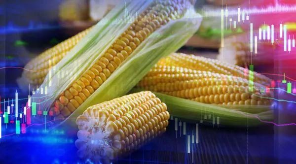 玉米是不是期货中风险最小的品种，我想从？玉米是期货吗