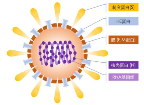 黑松集团是什么时候创建的？非典下的期货