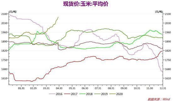 为什么玉米期货价格比往年高？鸡蛋期货暴涨原因
