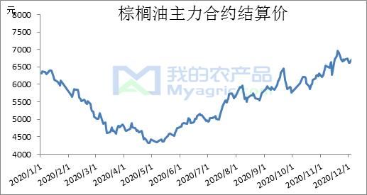 期货棕榈是什么？期货的棕榈的价格