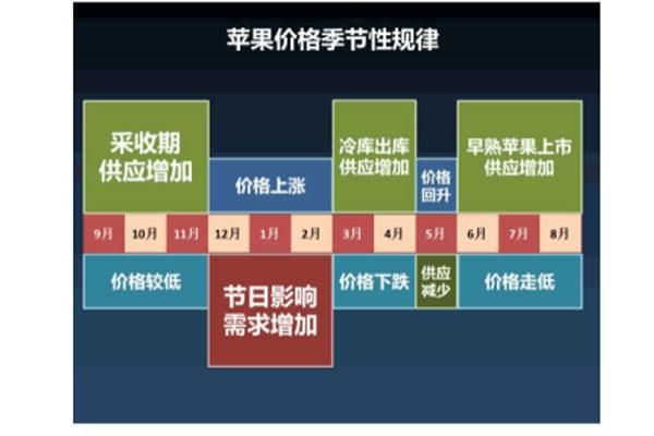 苹果期货的周期性规律？苹果期货疯狂背后是