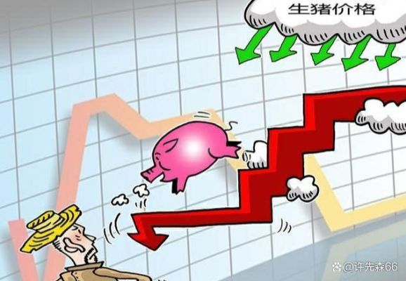洪灾会引起猪肉上涨吗？猪肉期货对猪价影响